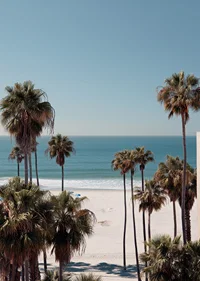 Palm trees against a peaceful beach horizon create calm and harmony.-7