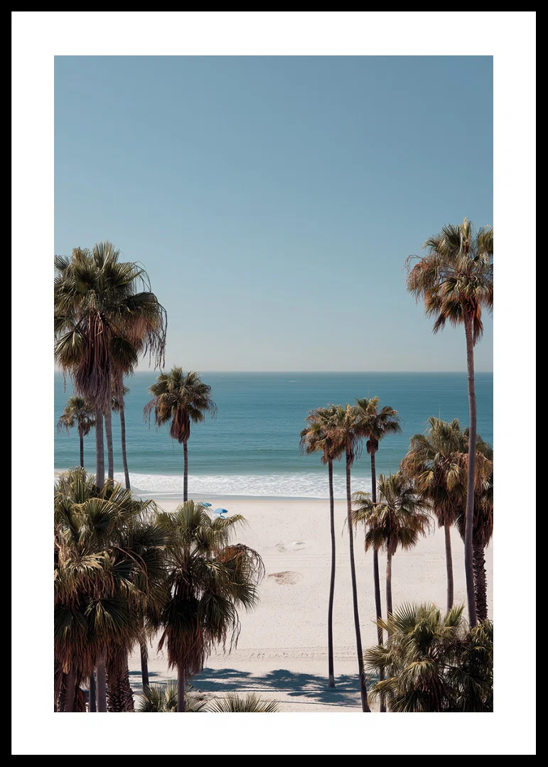 Palm trees against a peaceful beach horizon create calm and harmony.-12