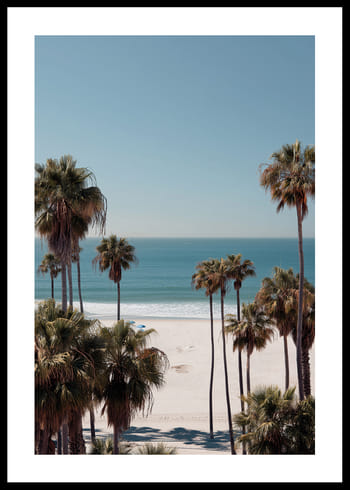 Plakat Palms Over Paradise