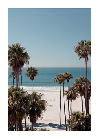 Poster Palms Over Paradise