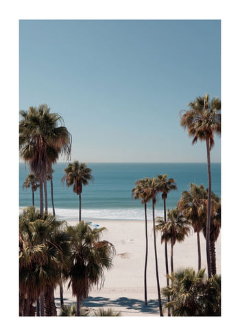Poster Palms Over Paradise
