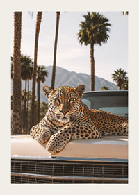 Elegant leopard vilar sig på en vintagebil i palmers skugga.-3