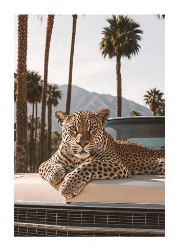 Poster Leopards Lounge