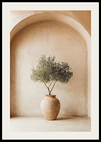 A peaceful olive plant in a rustic pot creates tranquility.-2