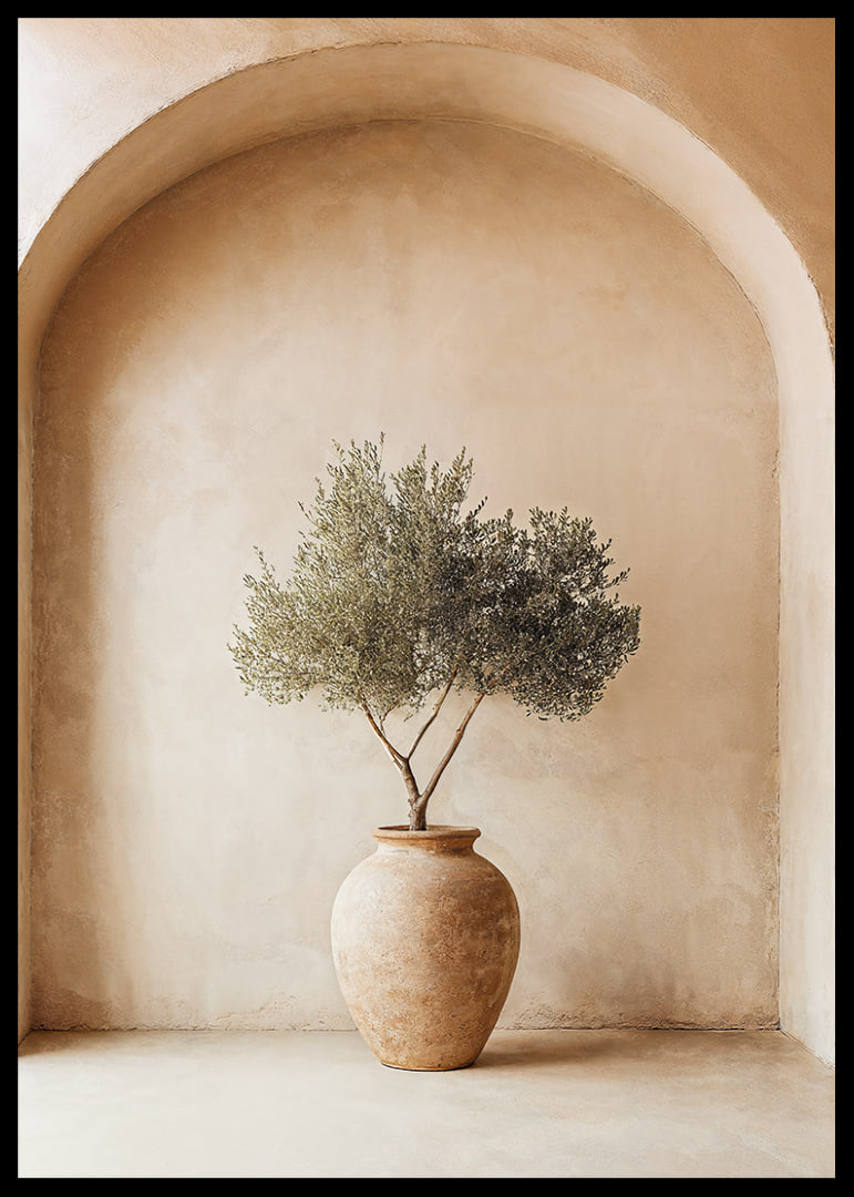 A peaceful olive plant in a rustic pot creates tranquility.-12