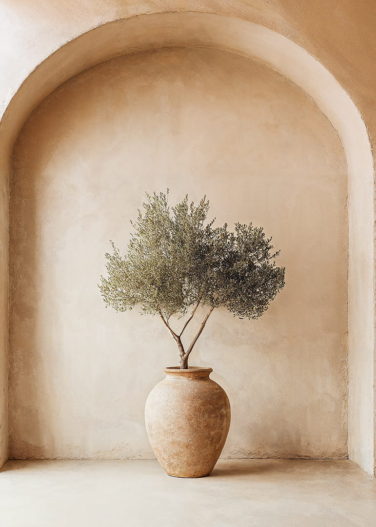 A peaceful olive plant in a rustic pot creates tranquility.-12