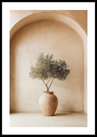 A peaceful olive plant in a rustic pot creates tranquility.-0