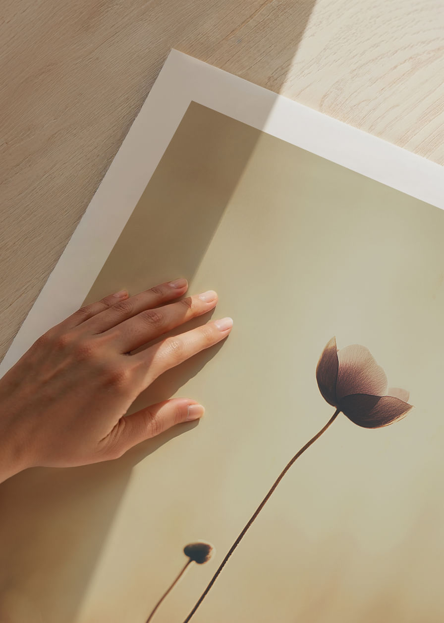 Une fleur solitaire s'étend vers la lumière du matin avec une beauté tranquille.-12