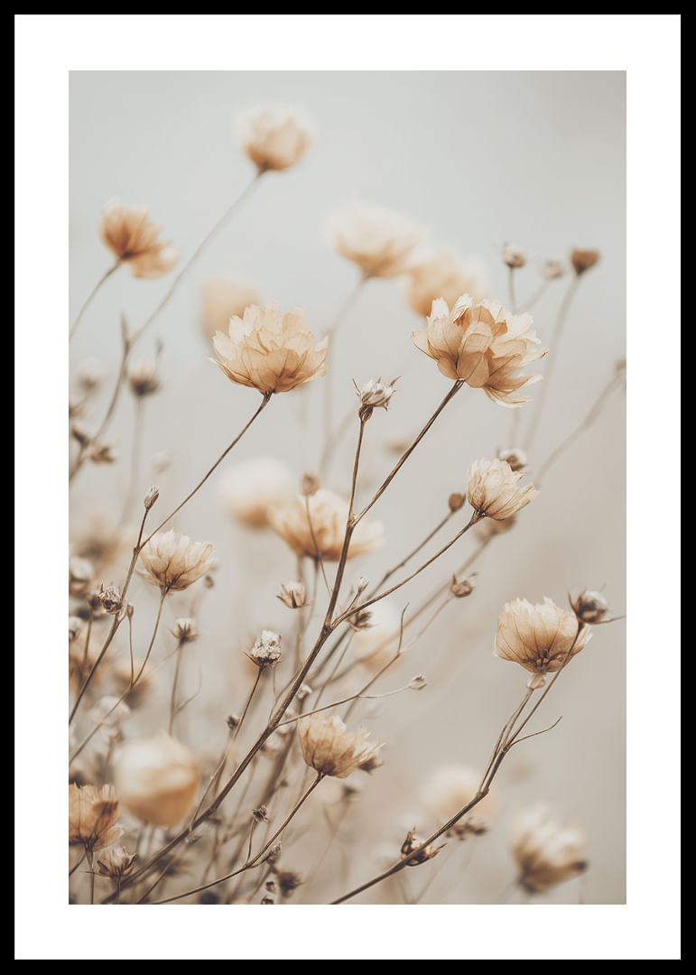 Dried flowers glow in soft golden light.-12