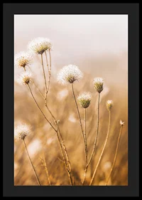 Soft autumn tones of elegant seed pods in a foggy morning.-4