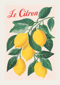 Affiche animée d'une brindille de citron aux couleurs intenses et au charme certain.-3