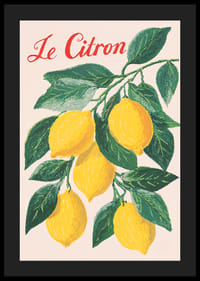 Affiche animée d'une brindille de citron aux couleurs intenses et au charme certain.-4