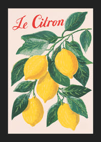 Affiche animée d'une brindille de citron aux couleurs intenses et au charme certain.-5
