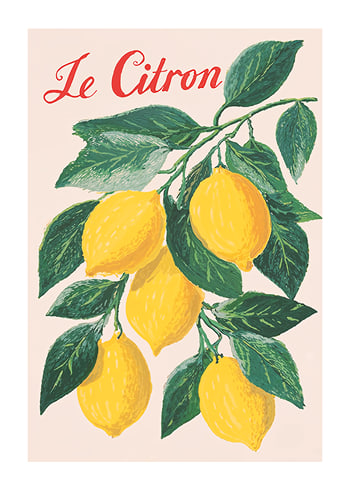 Poster Citrus Symphony