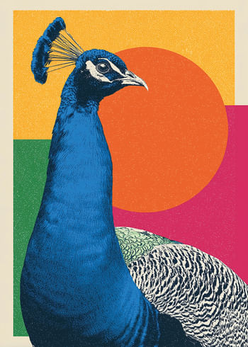 Poster Geometric Peacock