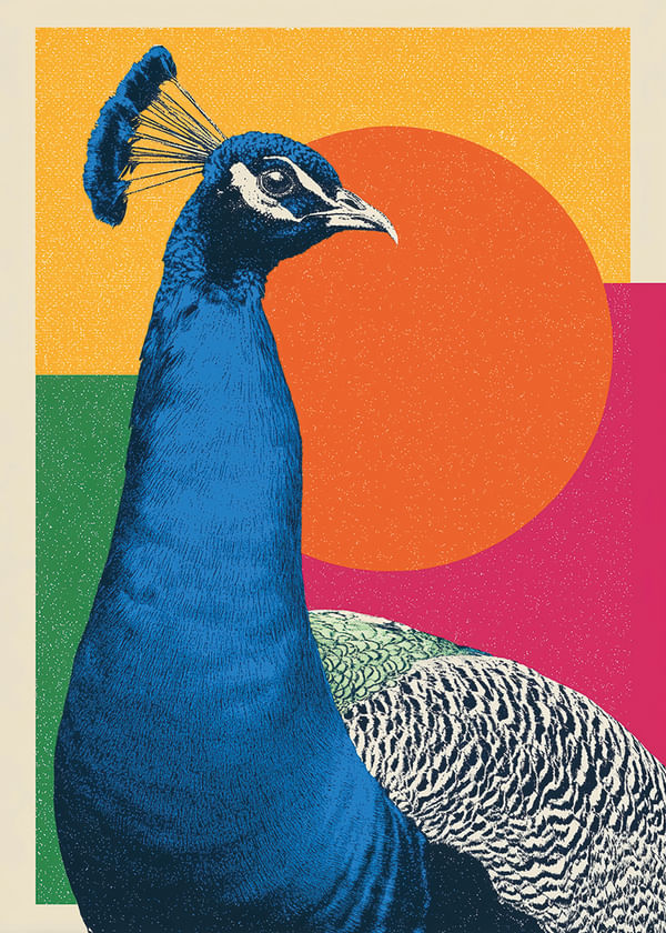 Plagát Geometric Peacock
