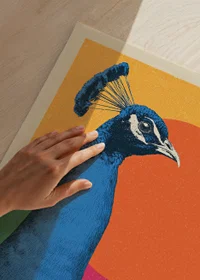 A magnificent peacock against a colorful background.-3