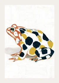 A frog in colorful patterns creates visual delight.-3