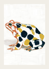 Una rana con motivi colorati crea una gioia per gli occhi.-3