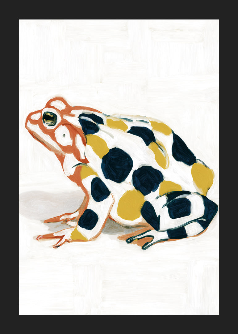 A frog in colorful patterns creates visual delight.-12