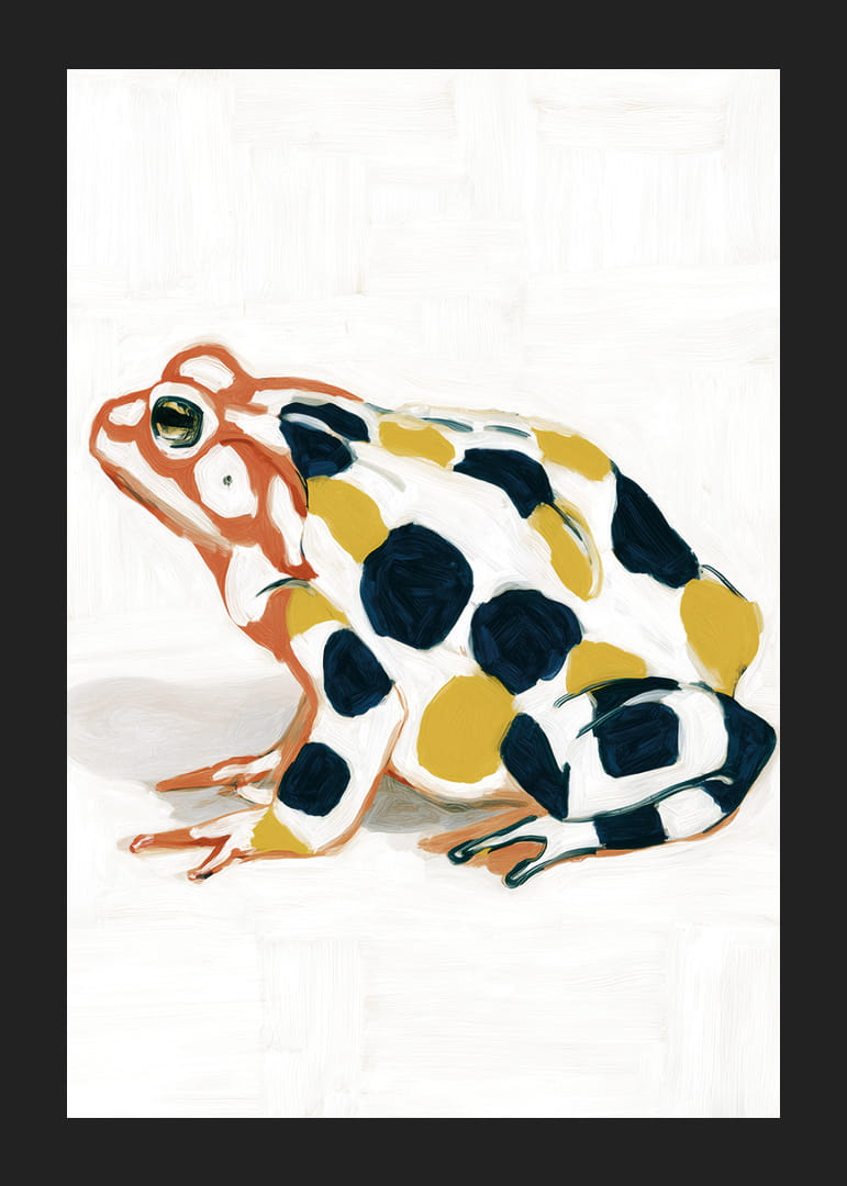 Una rana con motivi colorati crea una gioia per gli occhi.-12