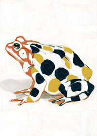 A frog in colorful patterns creates visual delight.-7
