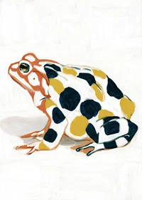 A frog in colorful patterns creates visual delight.-7