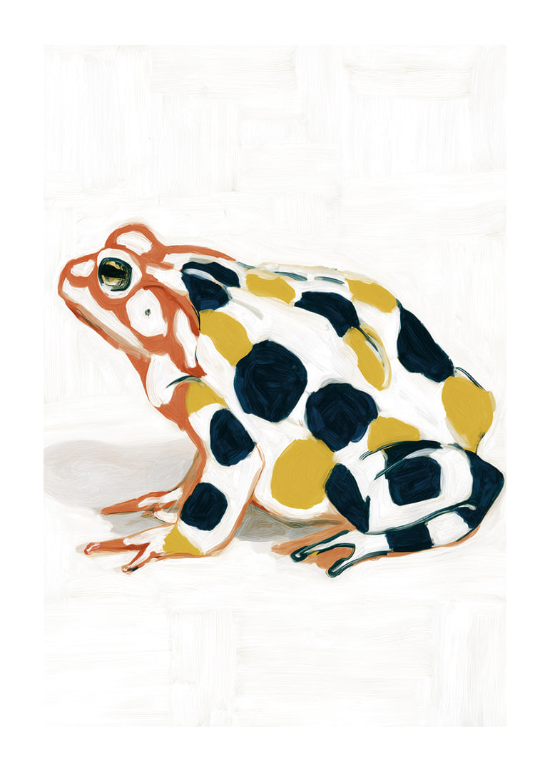 A frog in colorful patterns creates visual delight.-12