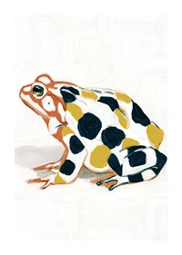 A frog in colorful patterns creates visual delight.-1