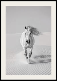 De elegantie van een wit paard in volle galop door het woestijnzand.-2