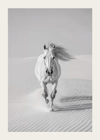 De elegantie van een wit paard in volle galop door het woestijnzand.-3