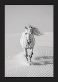 De elegantie van een wit paard in volle galop door het woestijnzand.-5