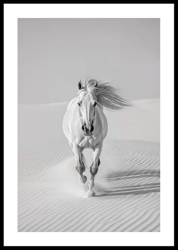 Poster Desert Spirit