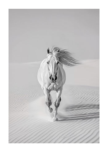 Poster Desert Spirit