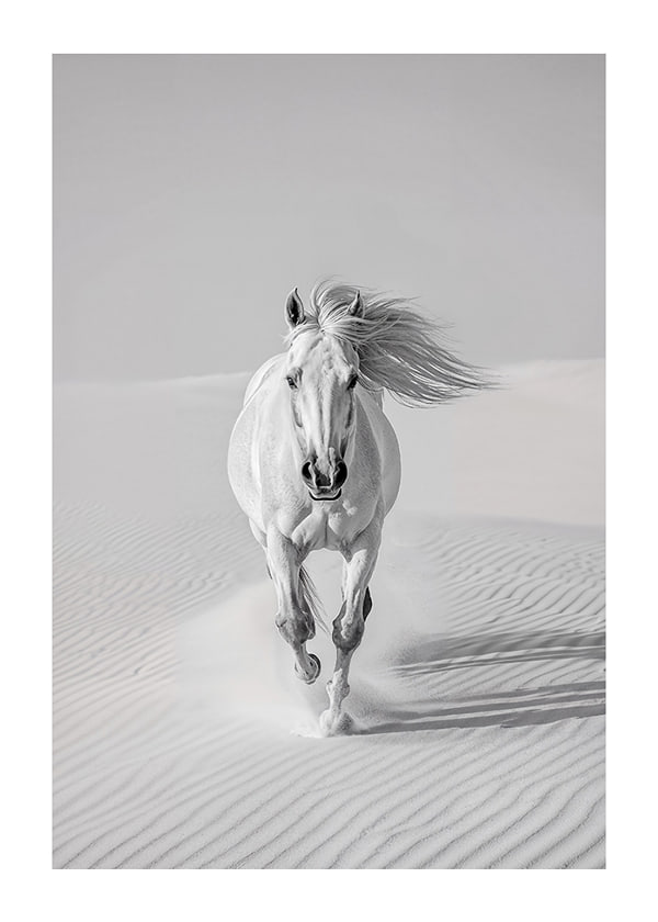Póster Desert Spirit