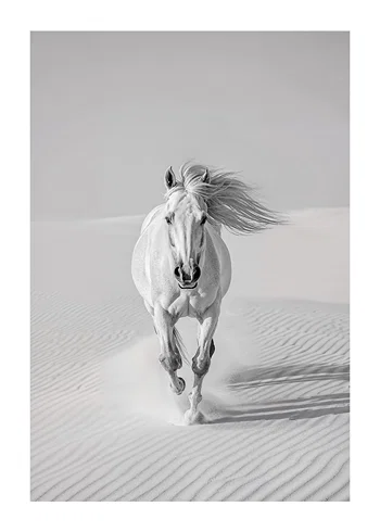 Poster Desert Spirit