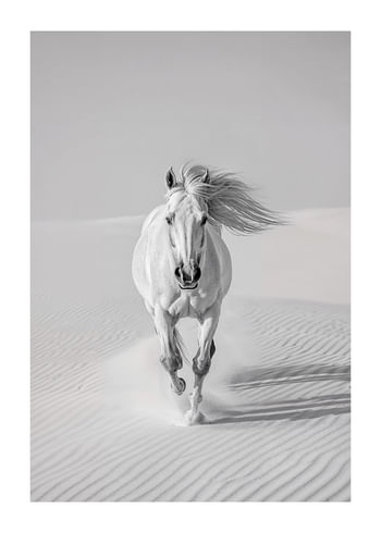 Poster Desert Spirit
