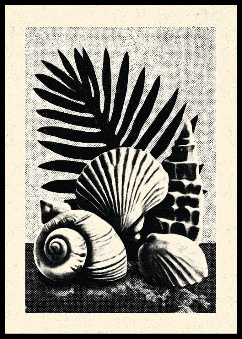 Stijlvolle, door de oceaan geïnspireerde poster met schelpen en palmbladeren.-12
