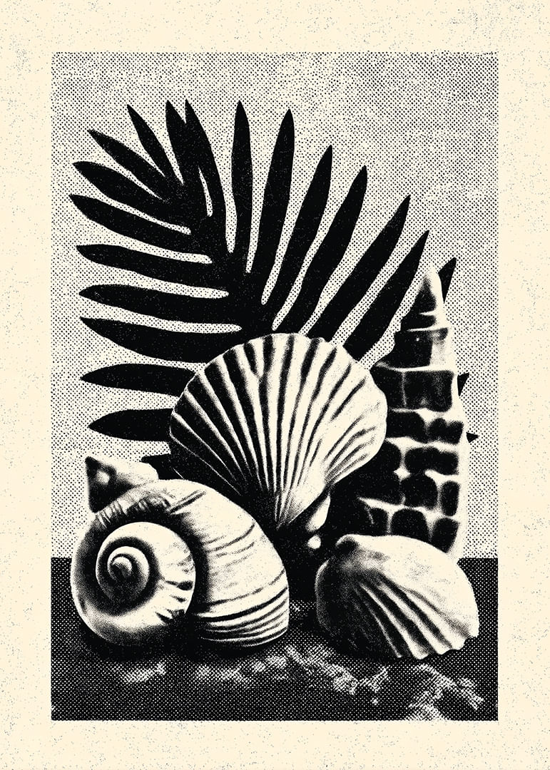 Stijlvolle, door de oceaan geïnspireerde poster met schelpen en palmbladeren.-12