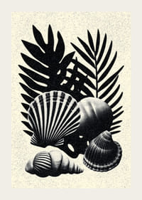 Elegáns kontrasztban álló fekete-fehér kagylók és pálmalevelek.-3