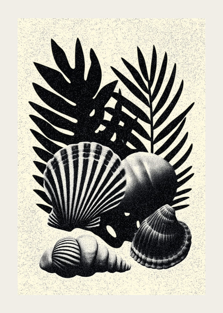 Elegáns kontrasztban álló fekete-fehér kagylók és pálmalevelek.-12