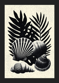 Elegáns kontrasztban álló fekete-fehér kagylók és pálmalevelek.-5