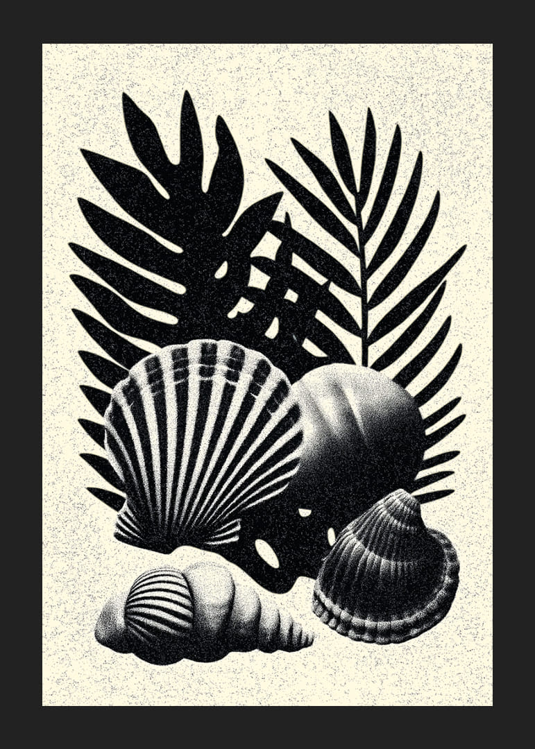 Elegáns kontrasztban álló fekete-fehér kagylók és pálmalevelek.-12