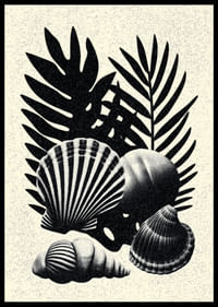 Coquillages et feuilles de palmier noirs et blancs dans un contraste élégant.-2
