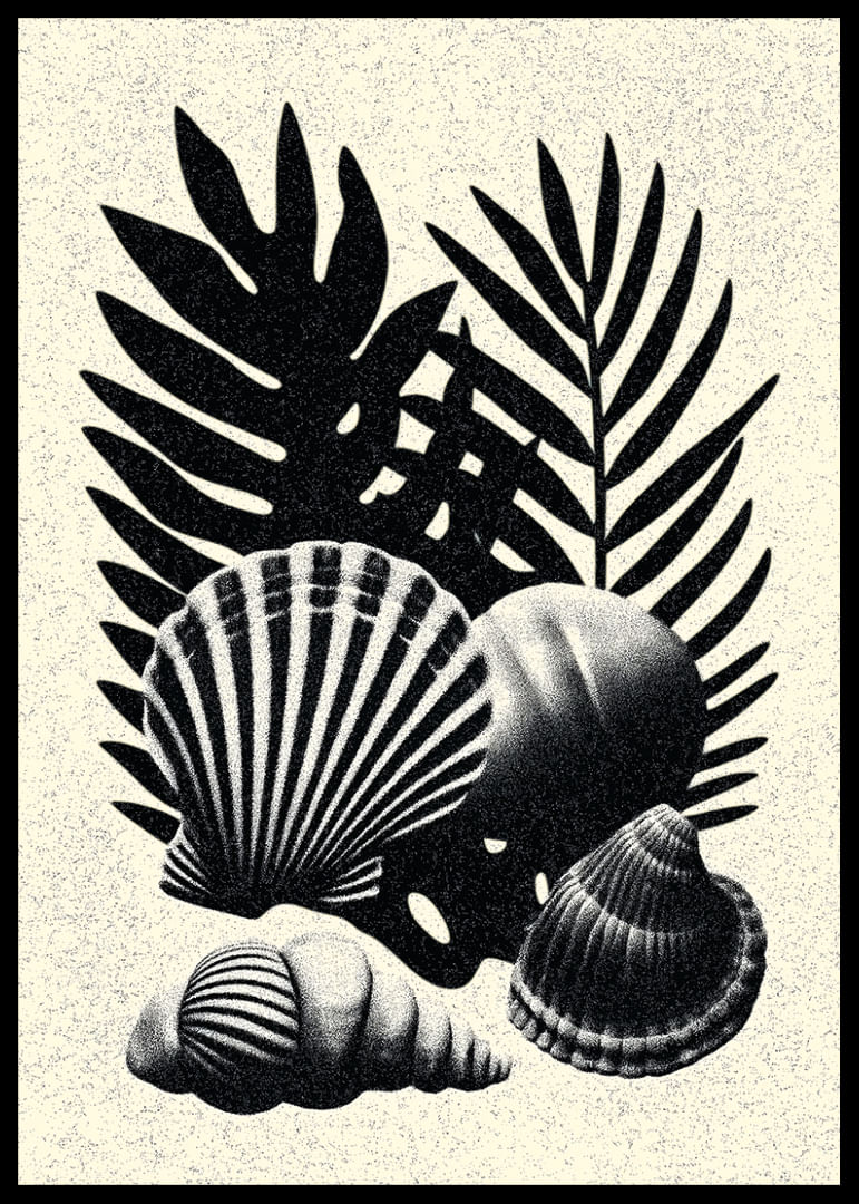 Coquillages et feuilles de palmier noirs et blancs dans un contraste élégant.-12