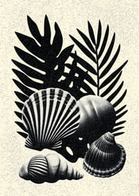Coquillages et feuilles de palmier noirs et blancs dans un contraste élégant.-3