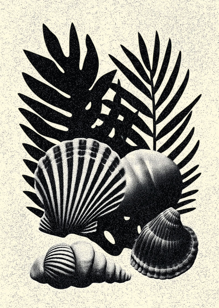 Coquillages et feuilles de palmier noirs et blancs dans un contraste élégant.-12