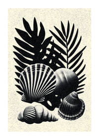 Coquillages et feuilles de palmier noirs et blancs dans un contraste élégant.-1