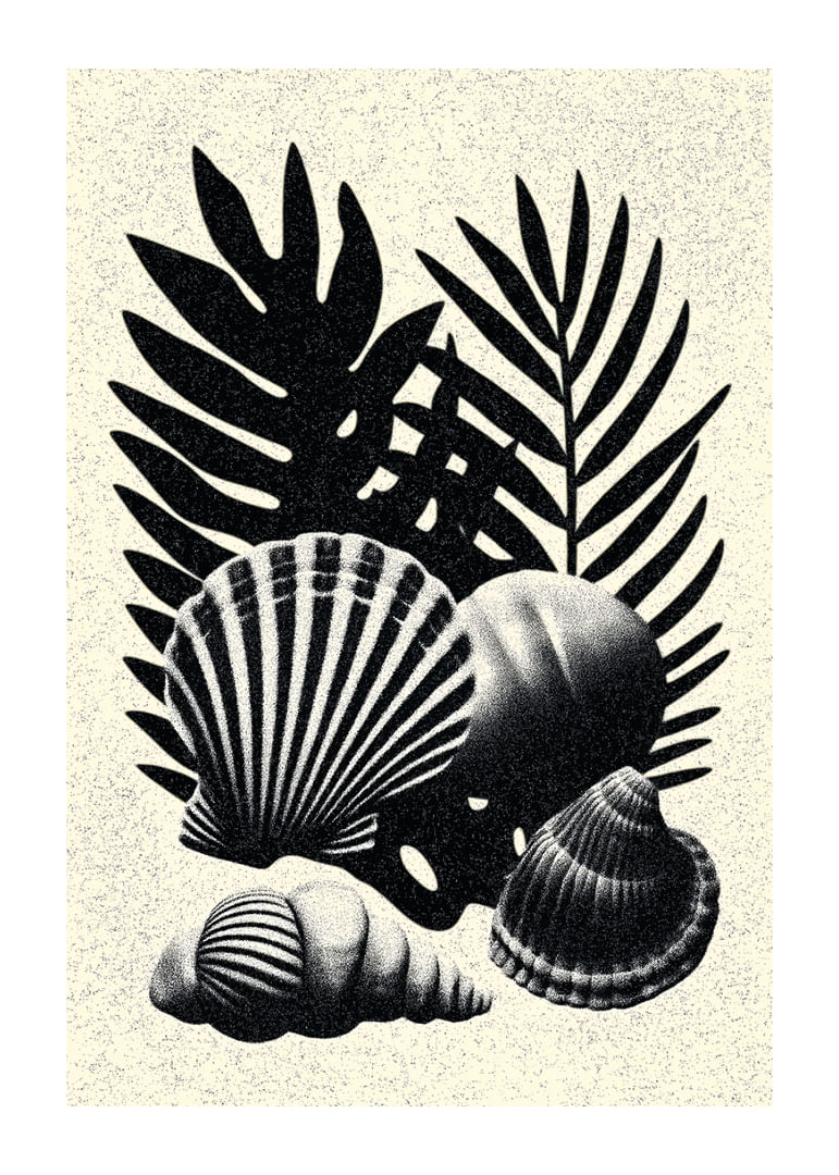 Coquillages et feuilles de palmier noirs et blancs dans un contraste élégant.-12