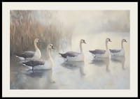 Öt fehér hattyú siklik kecsesen a tükörsima tavon.-2